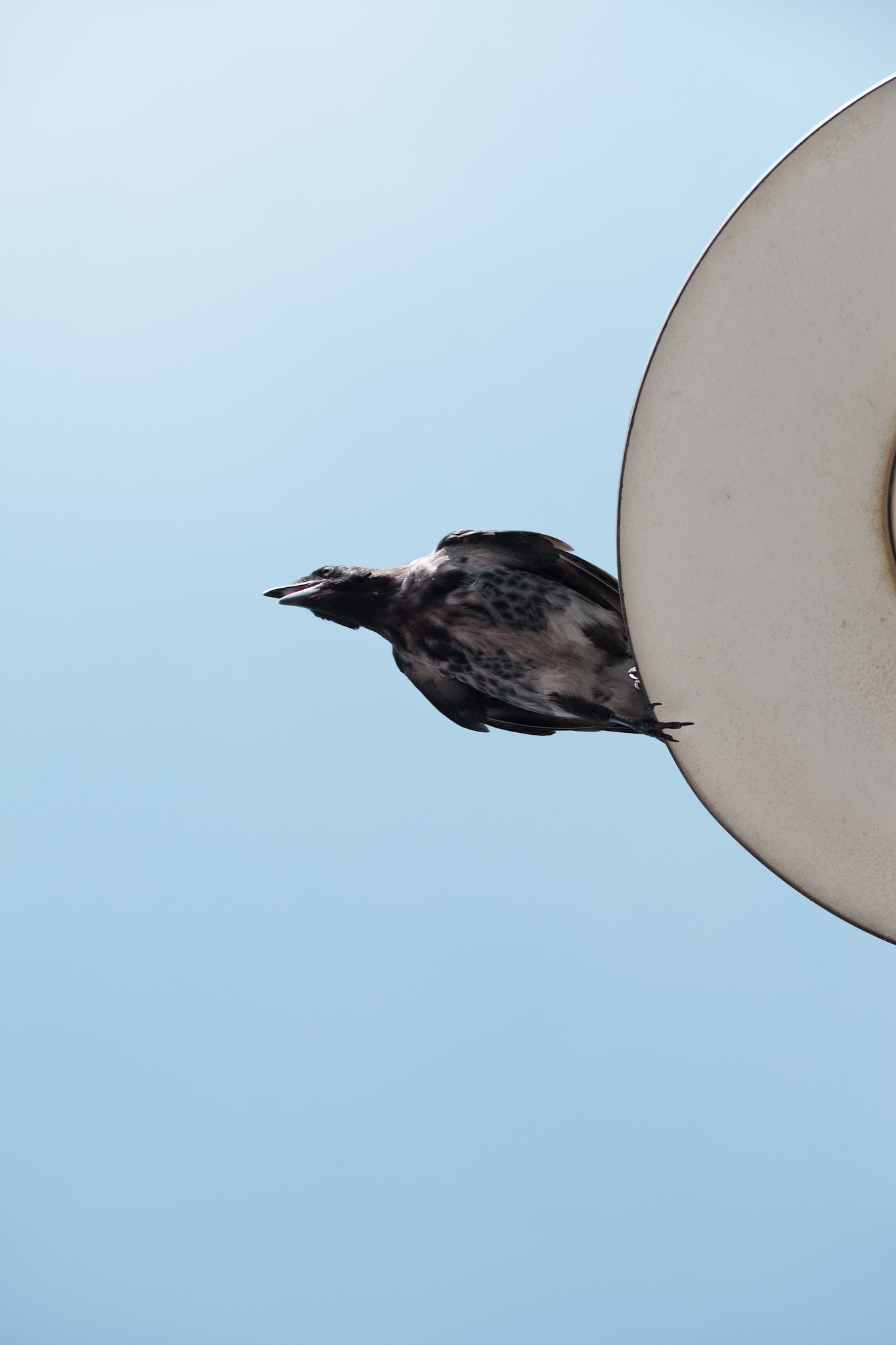 BERLIN, ALEXANDERPLATZ