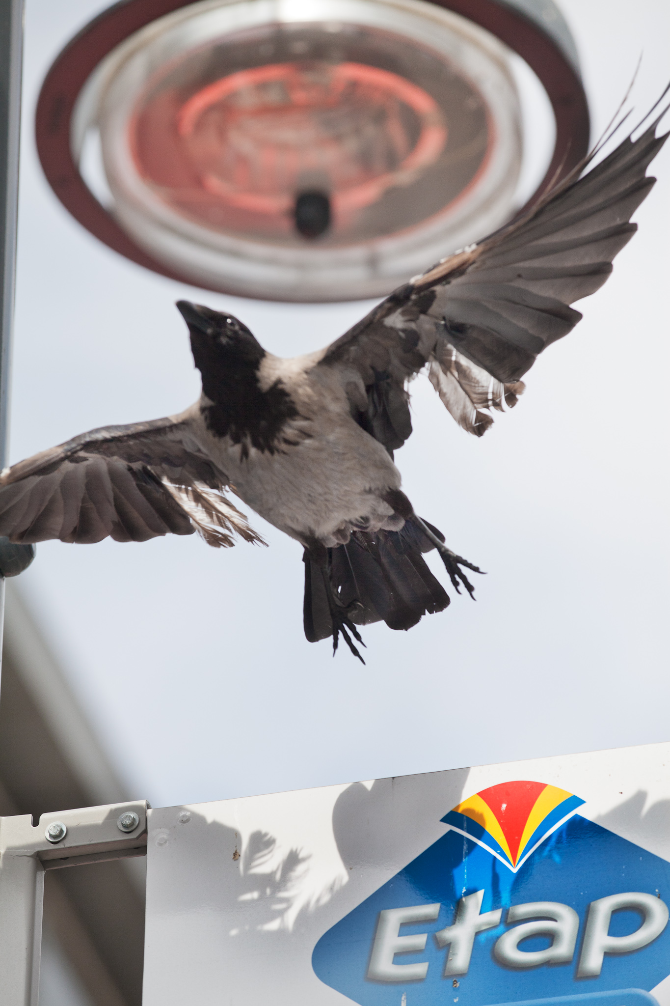 BERLIN, ALEXANDERPLATZ