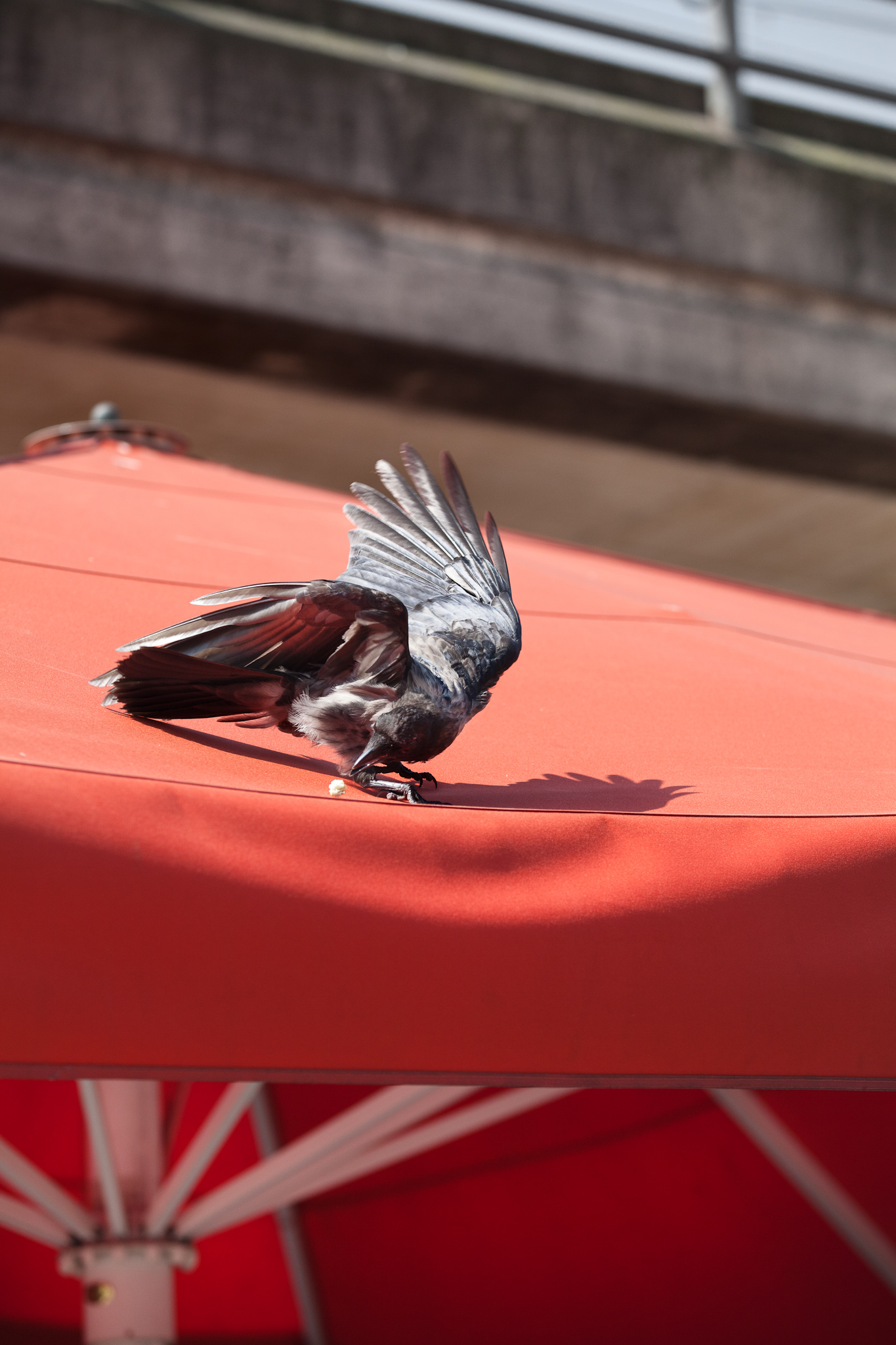 BERLIN, ALEXANDERPLATZ