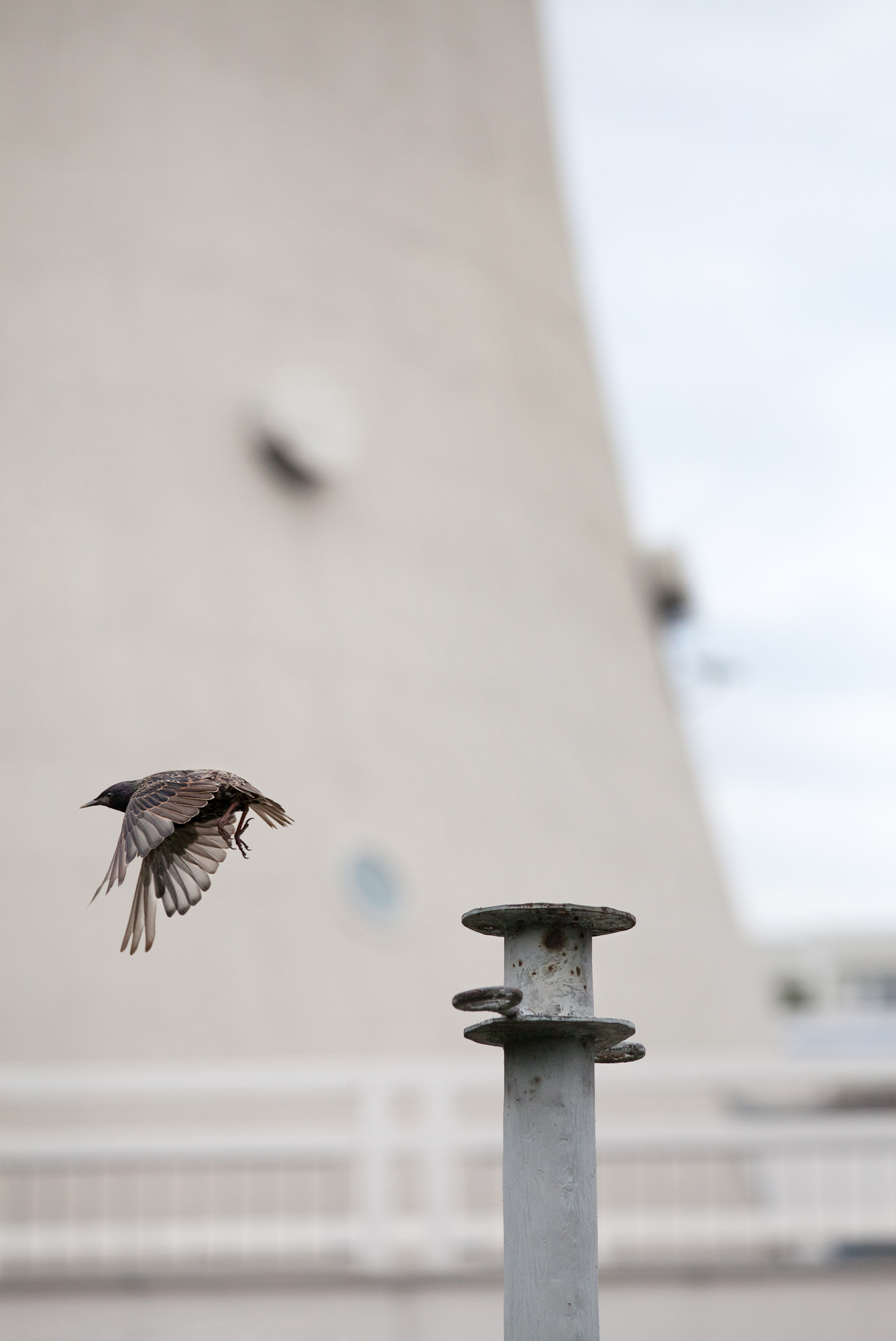 BERLIN, ALEXANDERPLATZ