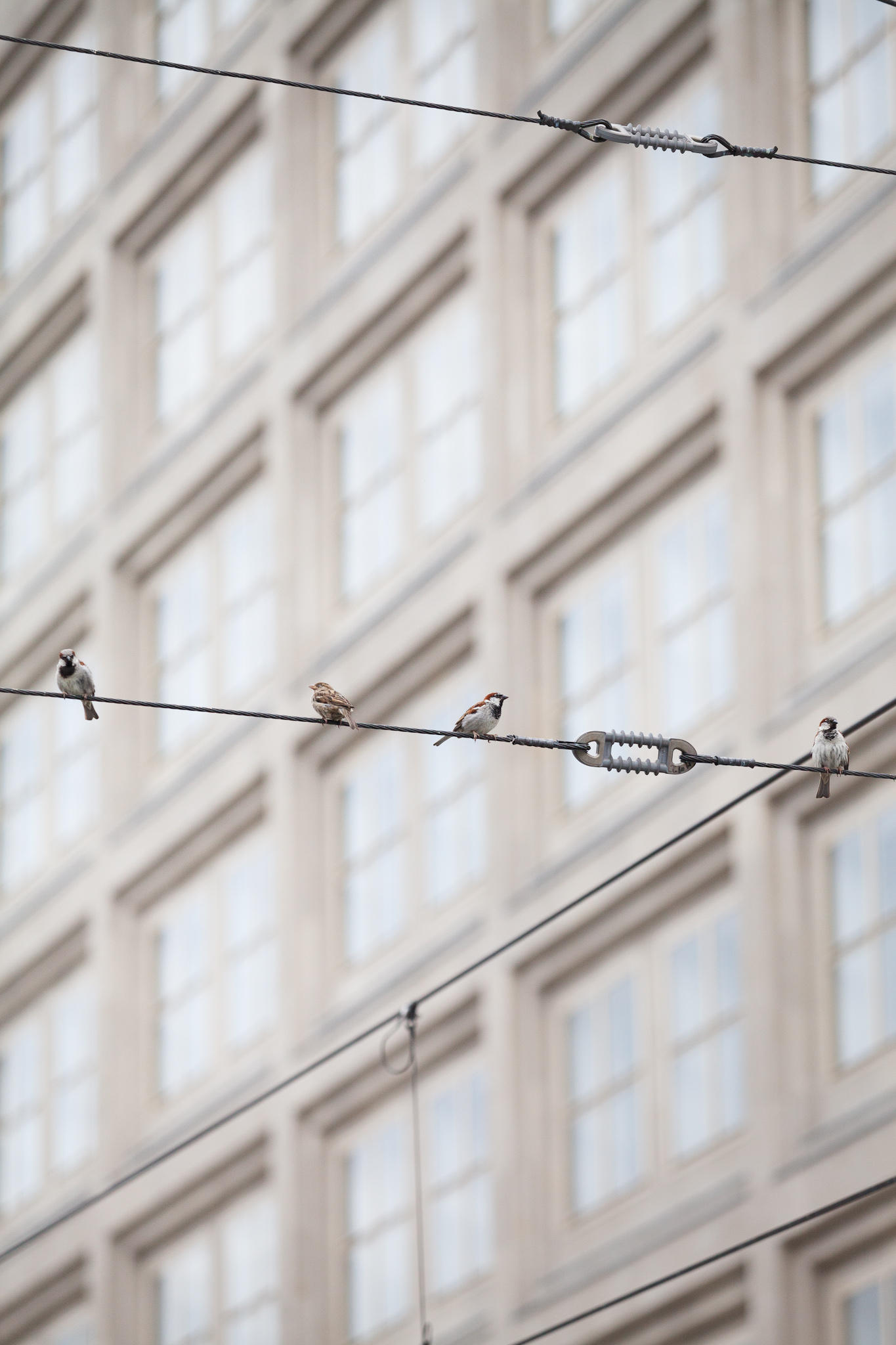 BERLIN, ALEXANDERPLATZ