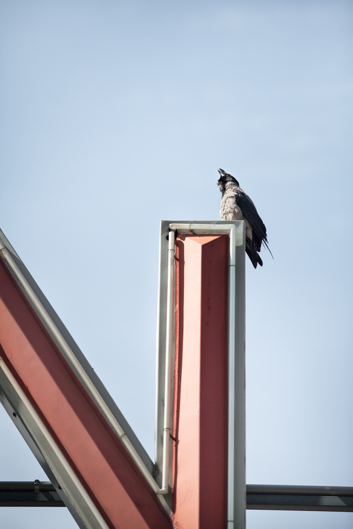 BERLIN, ALEXANDERPLATZ