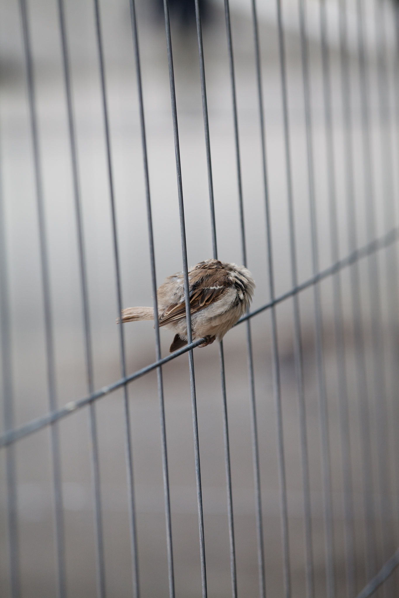 BERLIN, ALEXANDERPLATZ