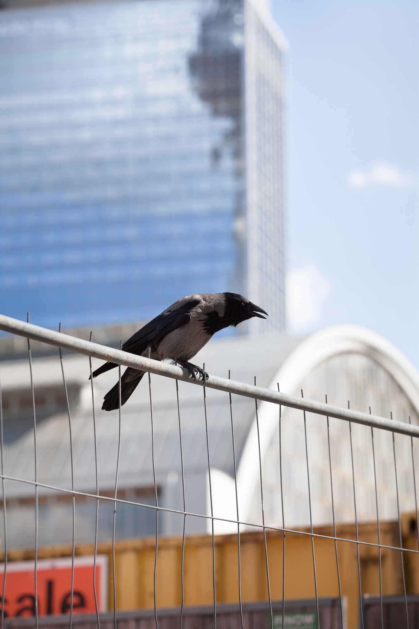 BERLIN, ALEXANDERPLATZ