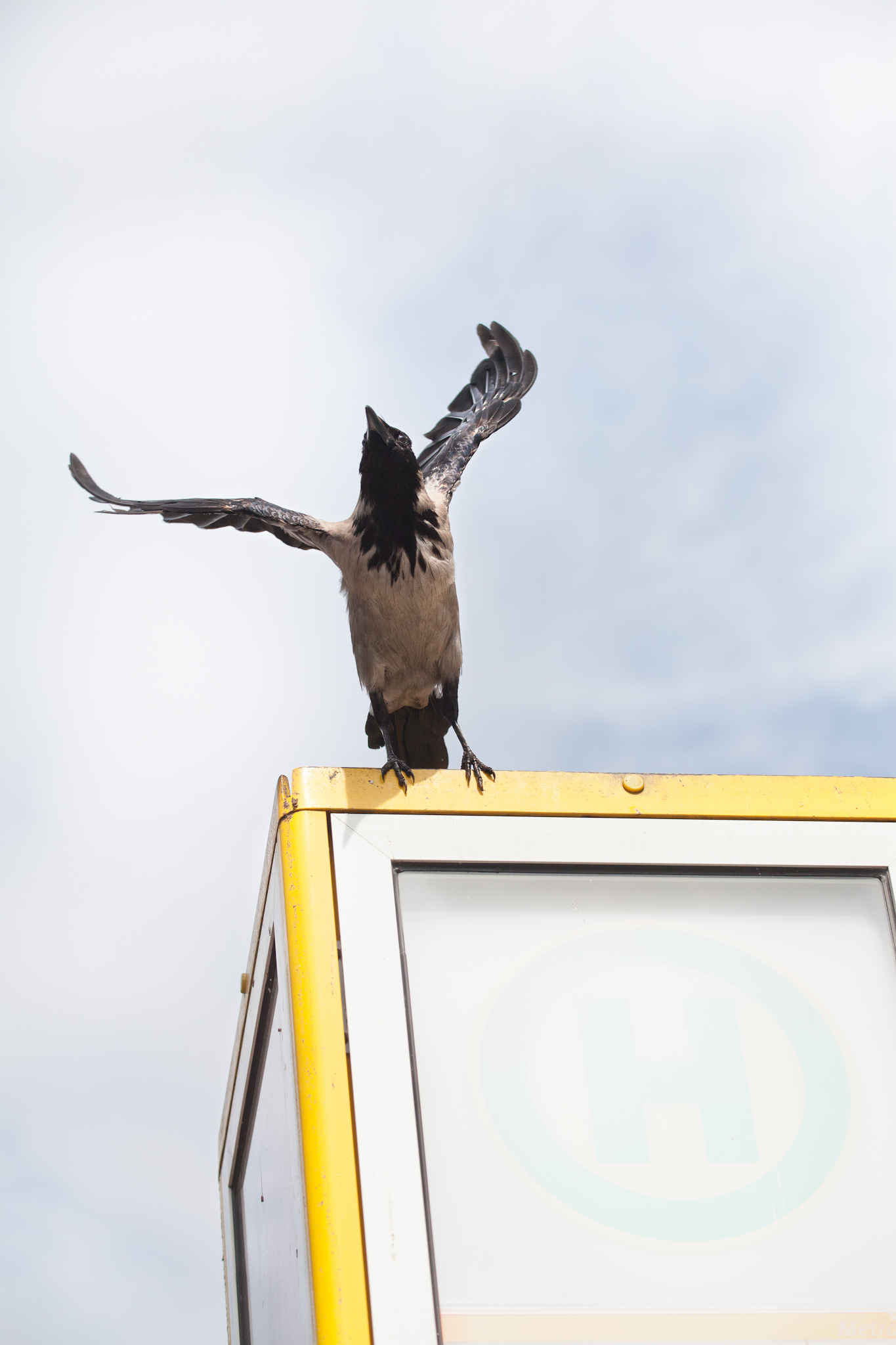 BERLIN, ALEXANDERPLATZ
