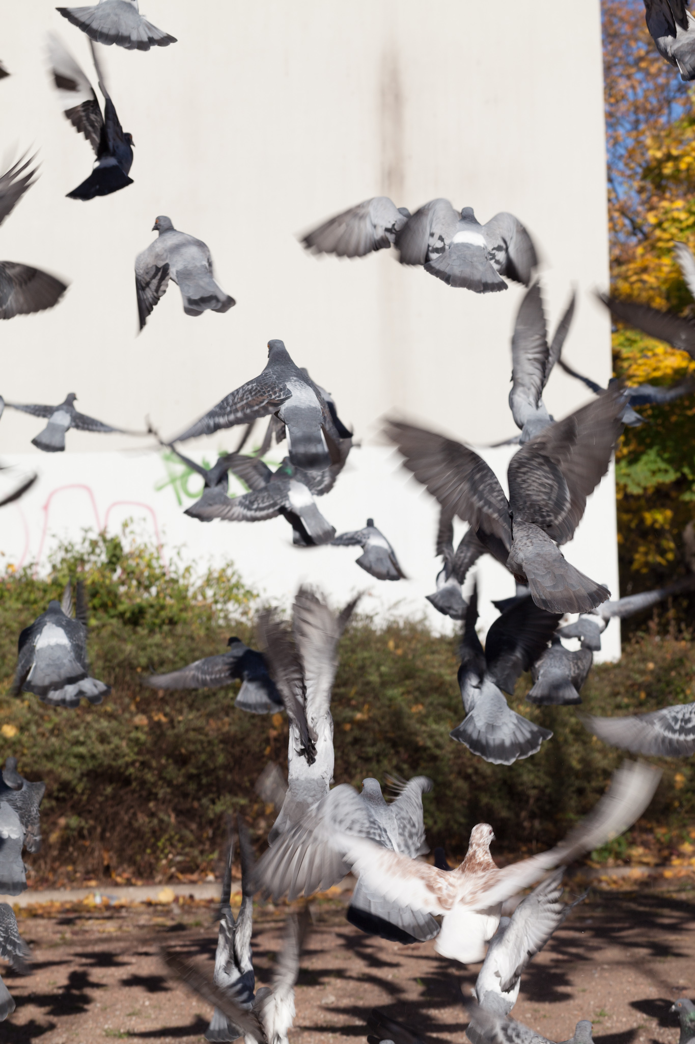 BERLIN, ALEXANDERPLATZ