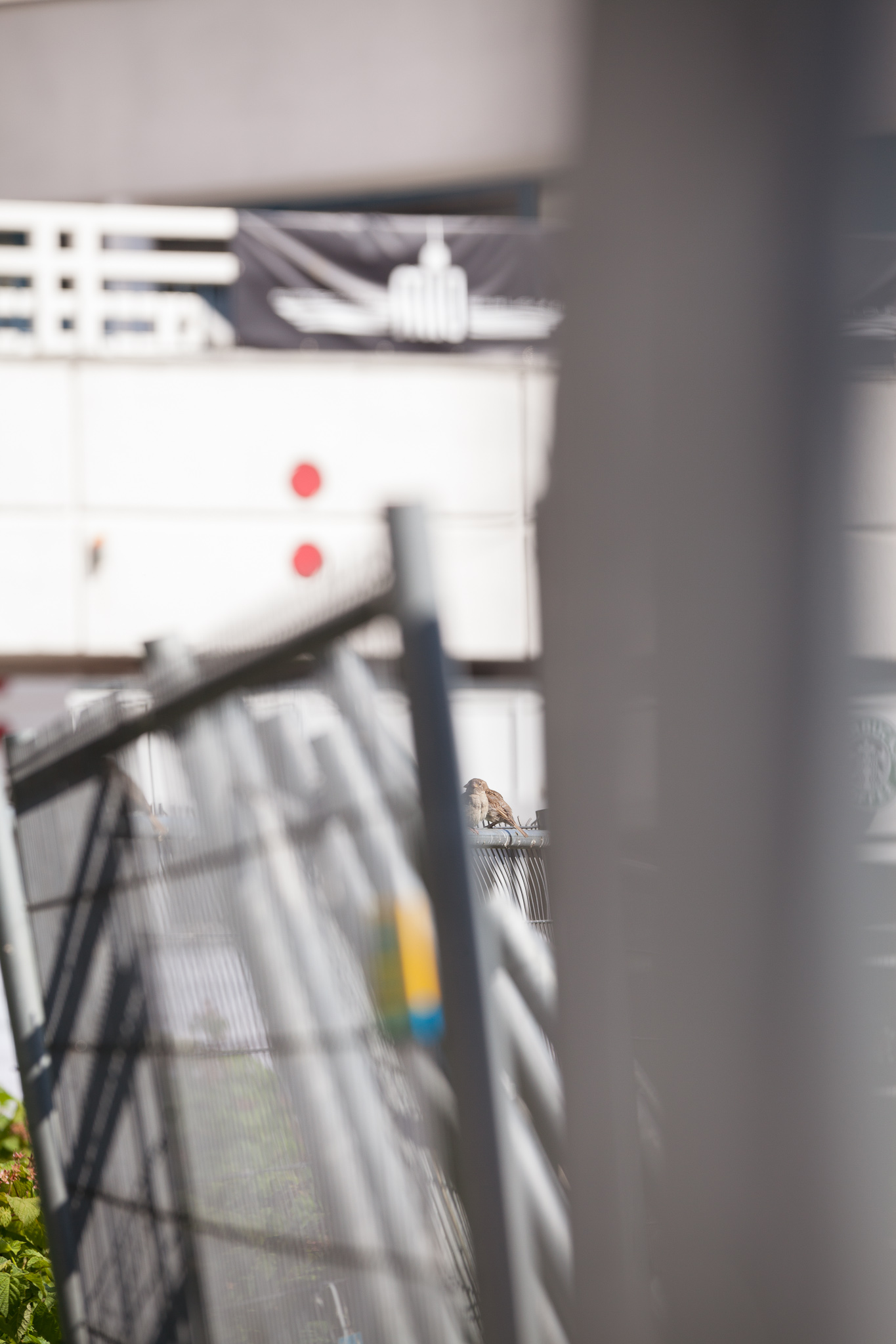 BERLIN, ALEXANDERPLATZ