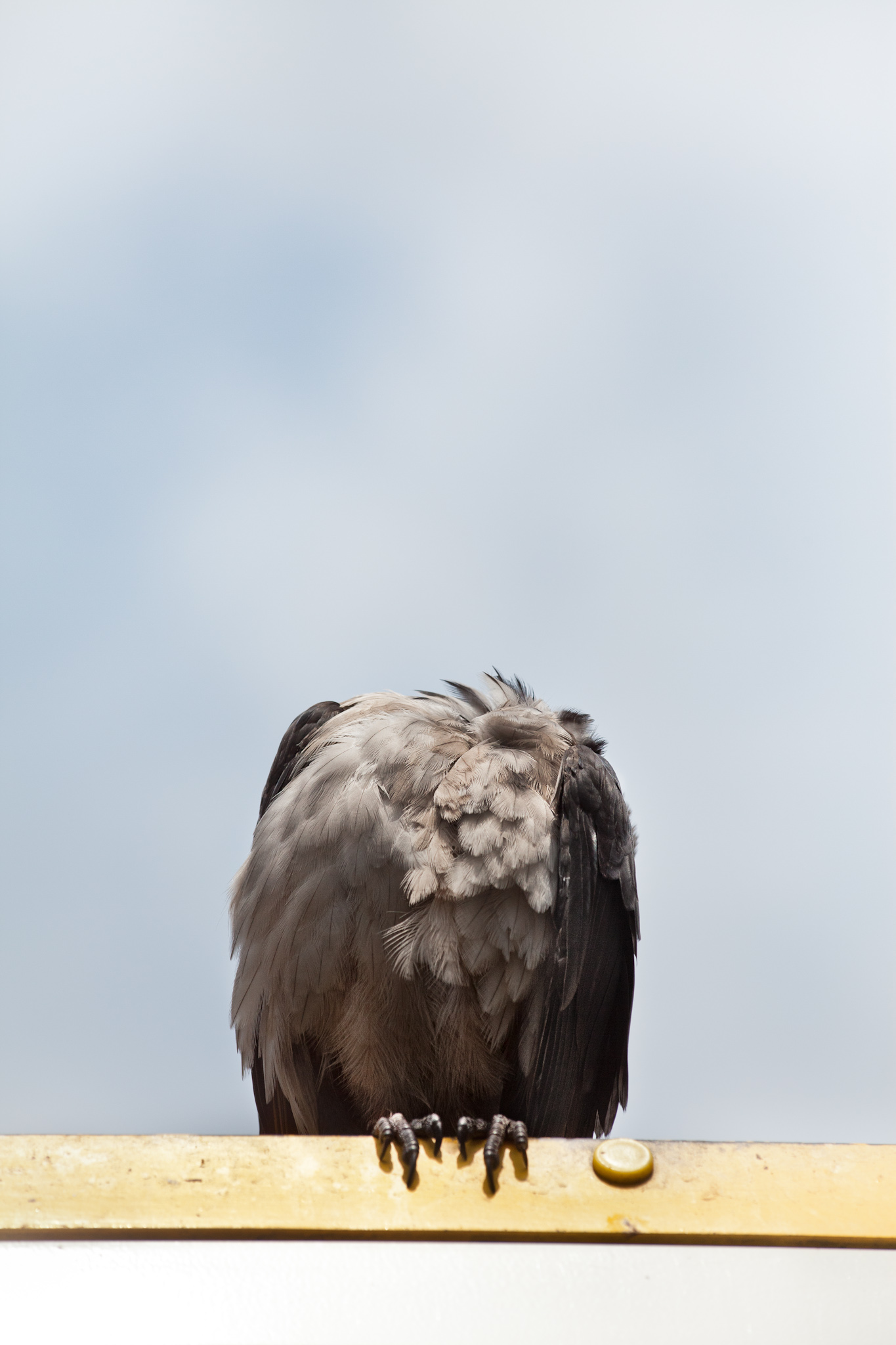 BERLIN, ALEXANDERPLATZ