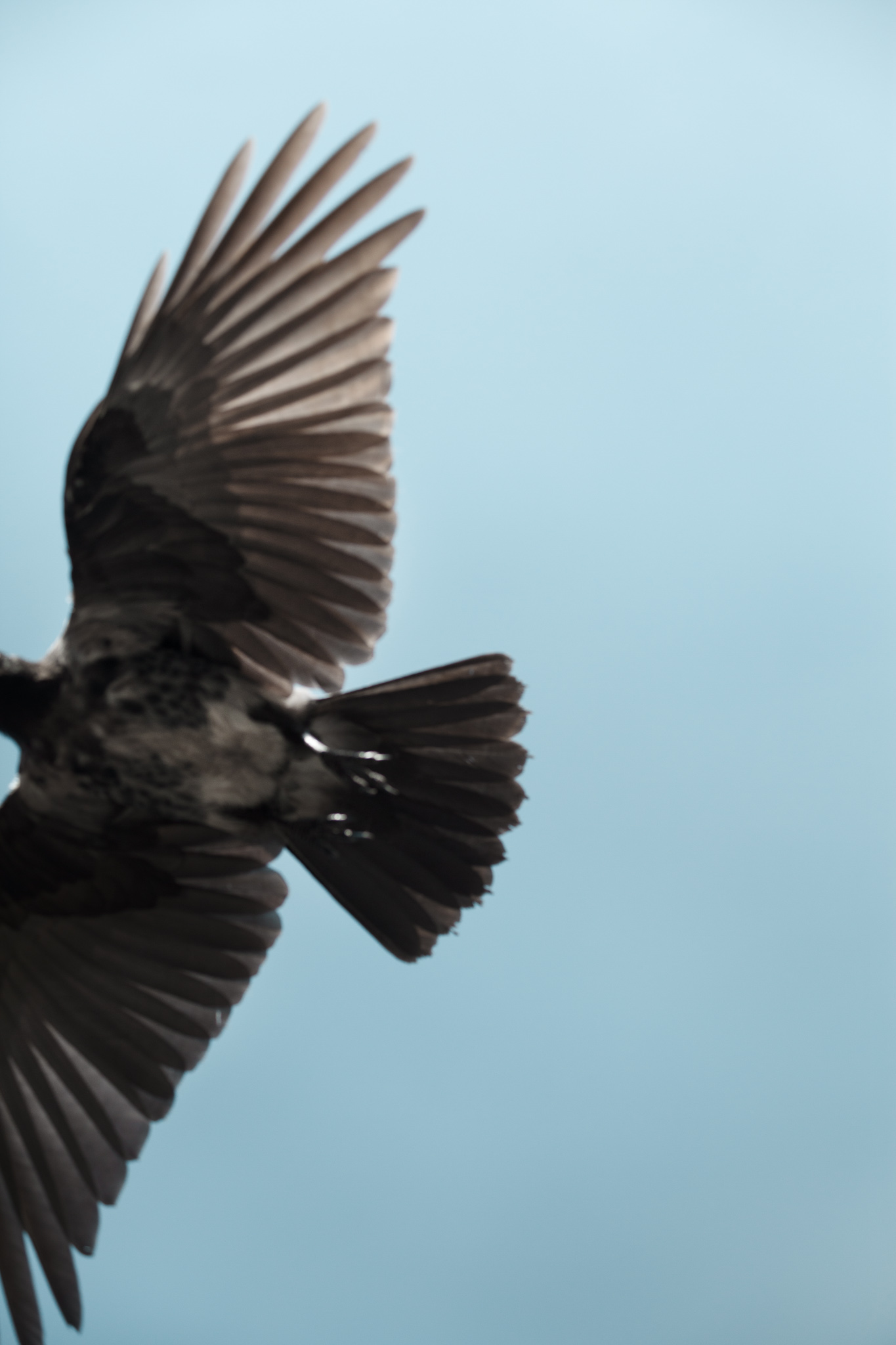 BERLIN, ALEXANDERPLATZ