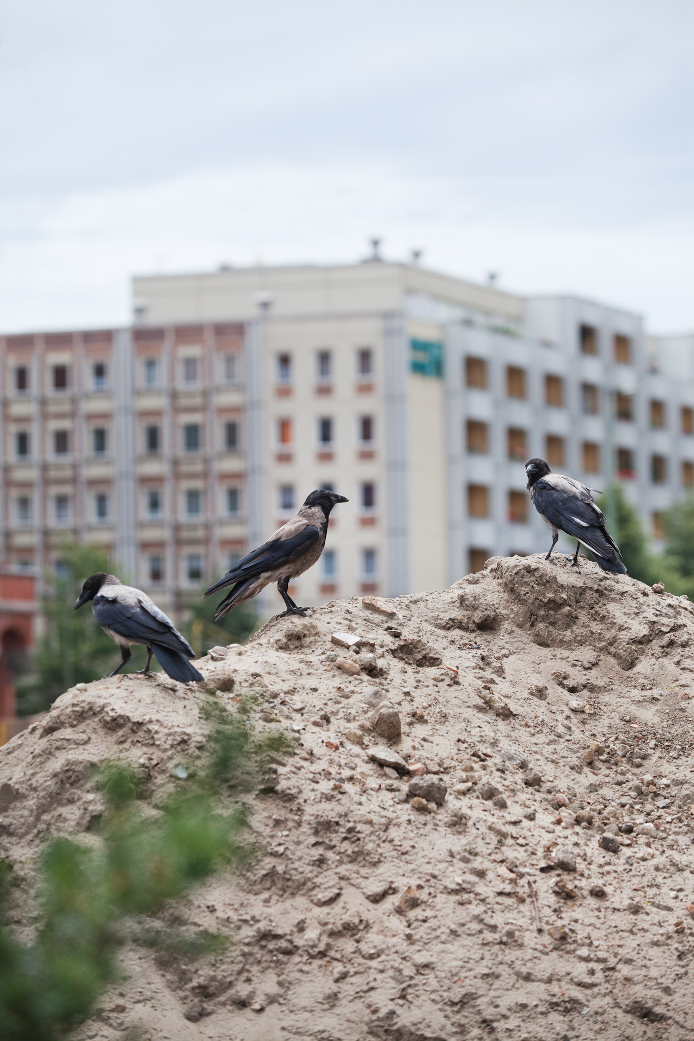 BERLIN, ALEXANDERPLATZ
