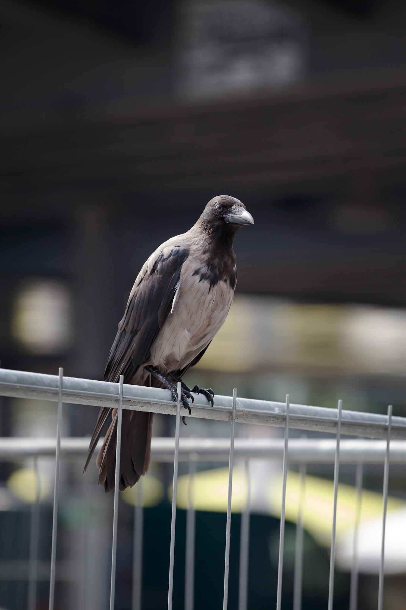 BERLIN, ALEXANDERPLATZ