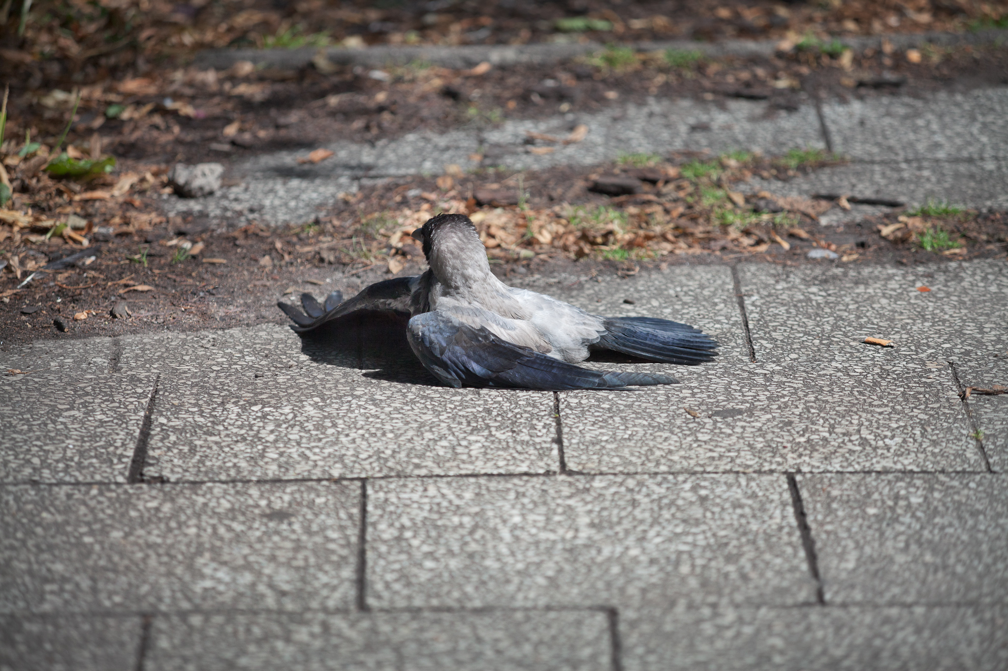 BERLIN, ALEXANDERPLATZ