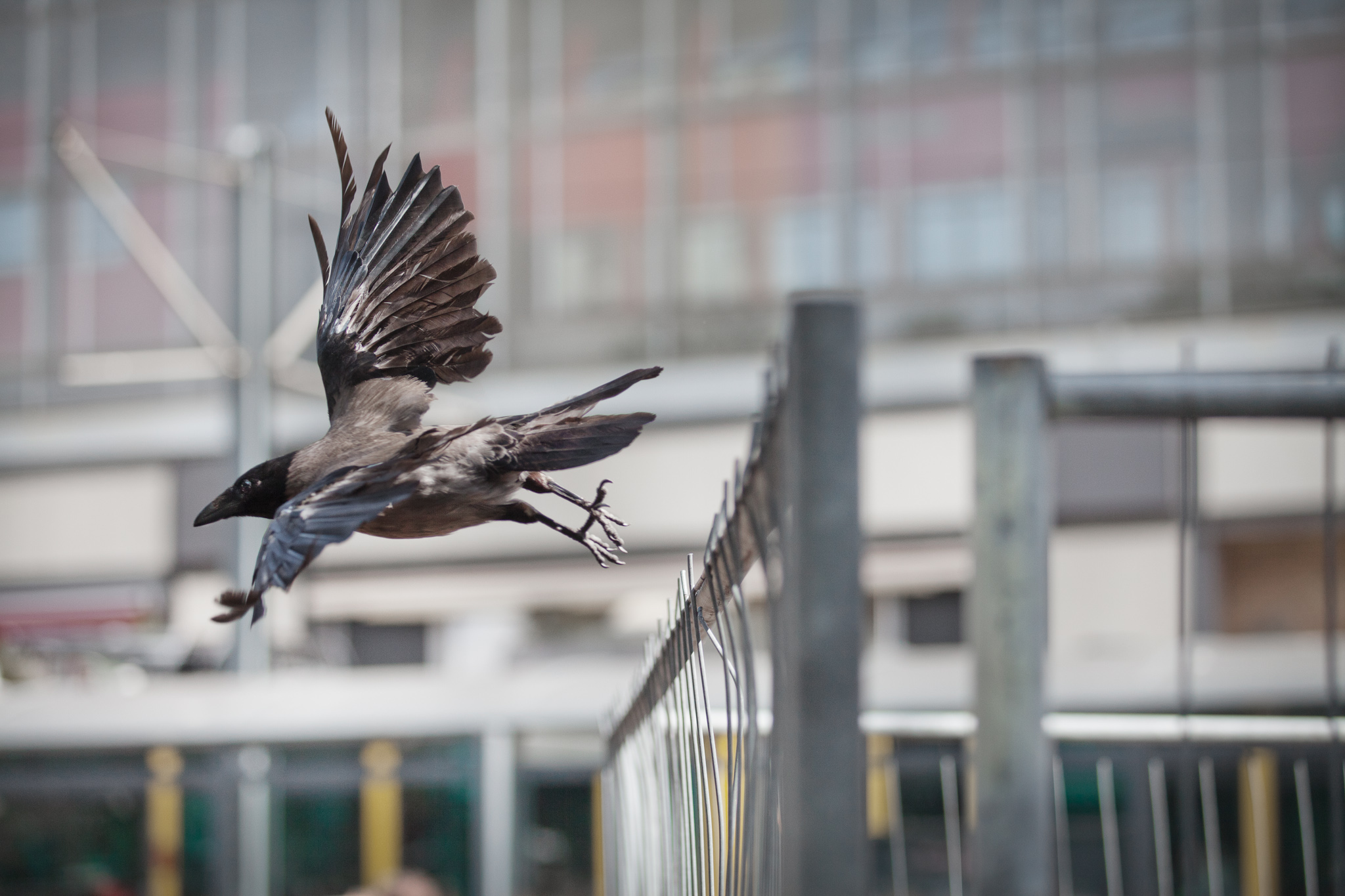 BERLIN, ALEXANDERPLATZ