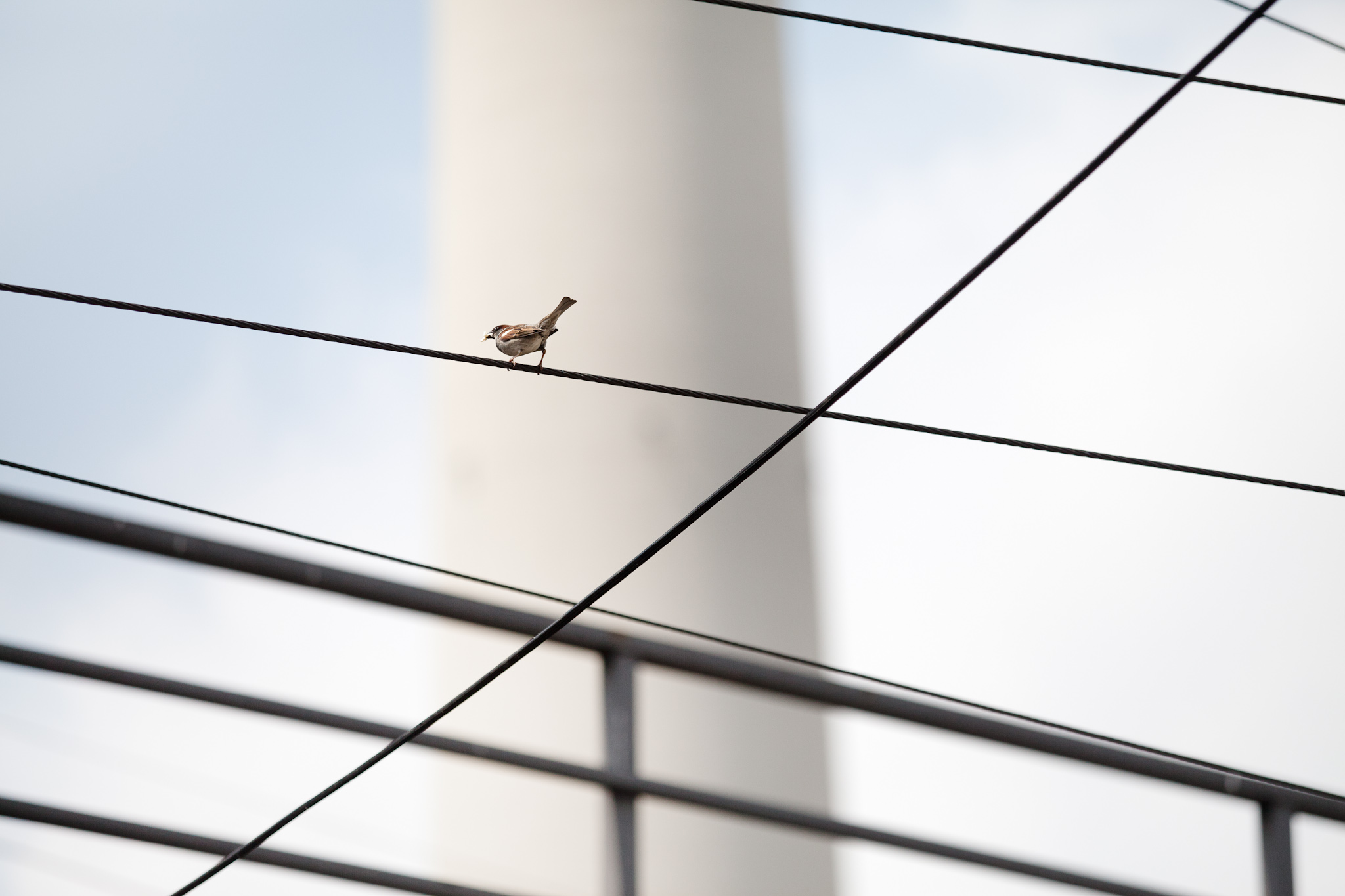BERLIN, ALEXANDERPLATZ