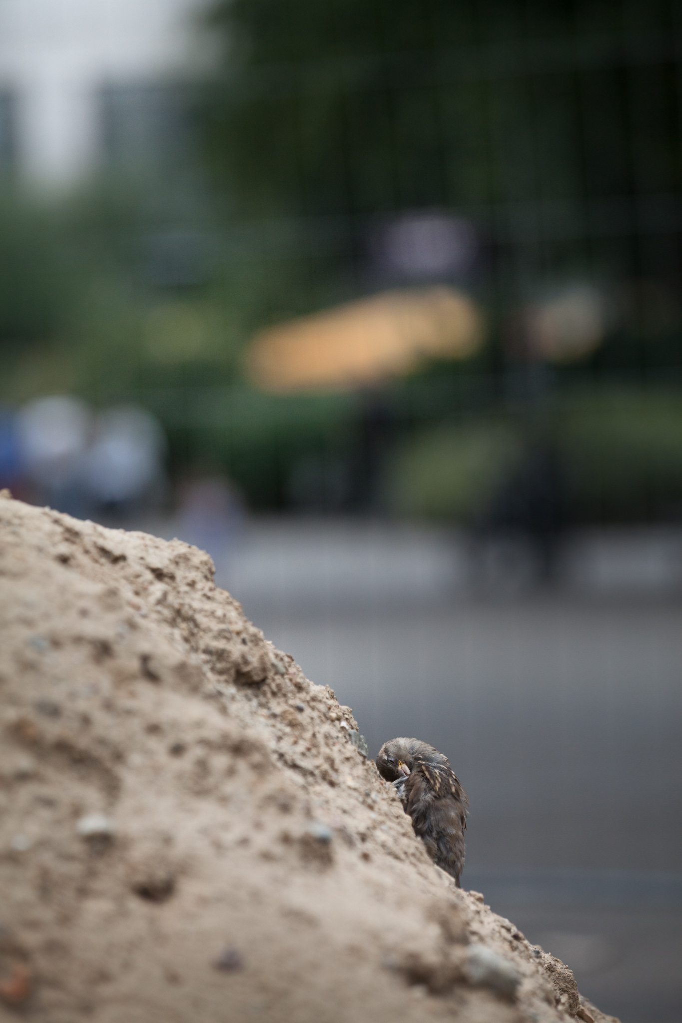 BERLIN, ALEXANDERPLATZ