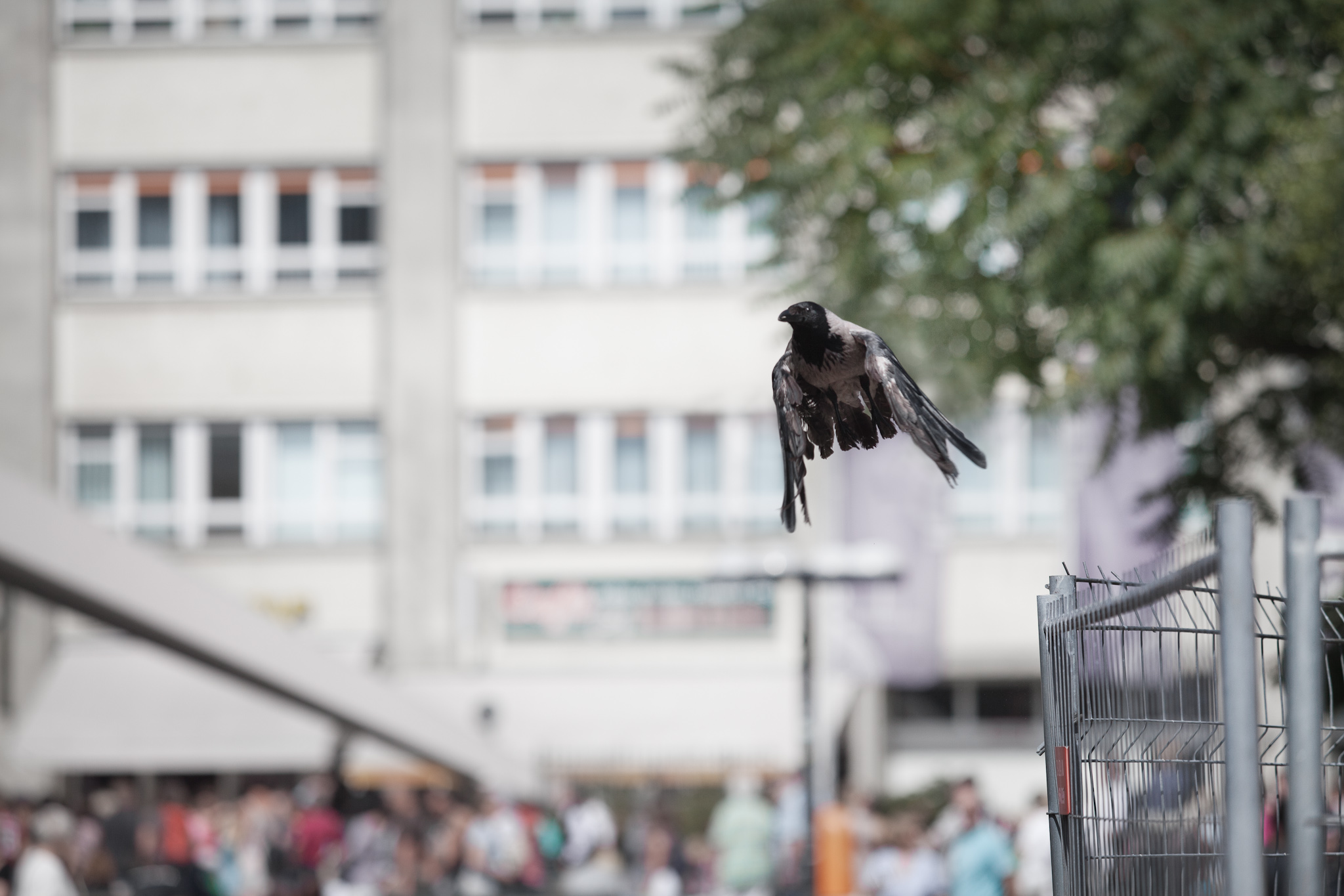 BERLIN, ALEXANDERPLATZ