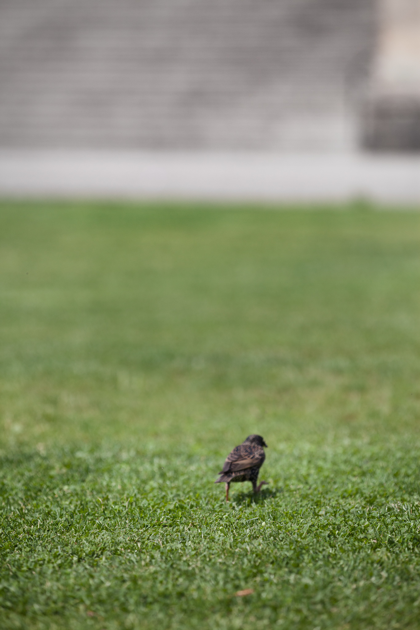 BERLIN, ALEXANDERPLATZ
