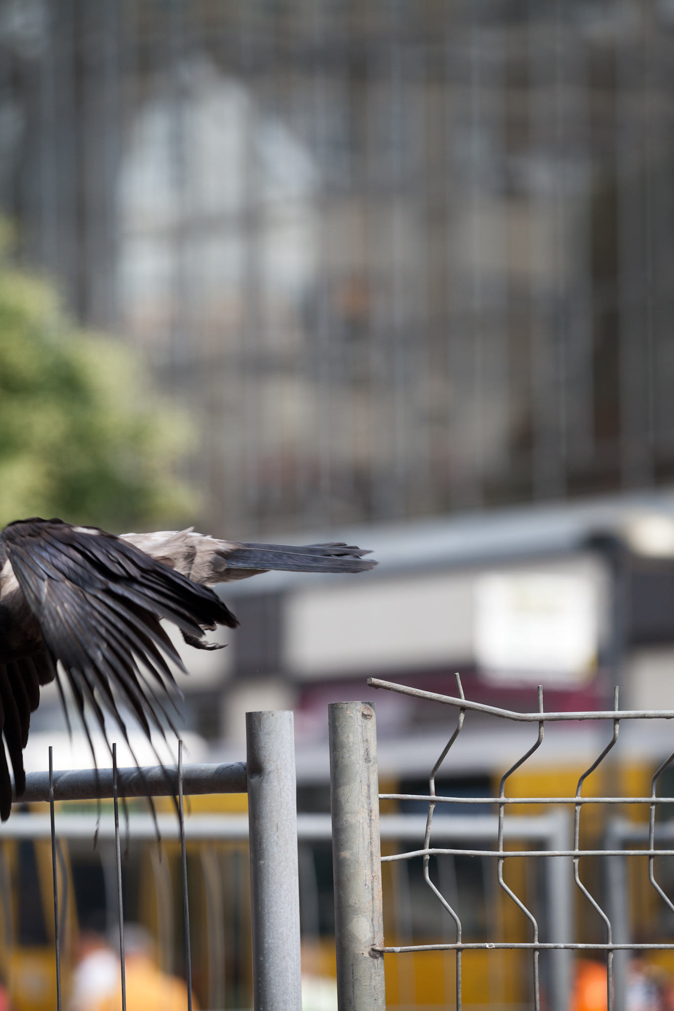 BERLIN, ALEXANDERPLATZ