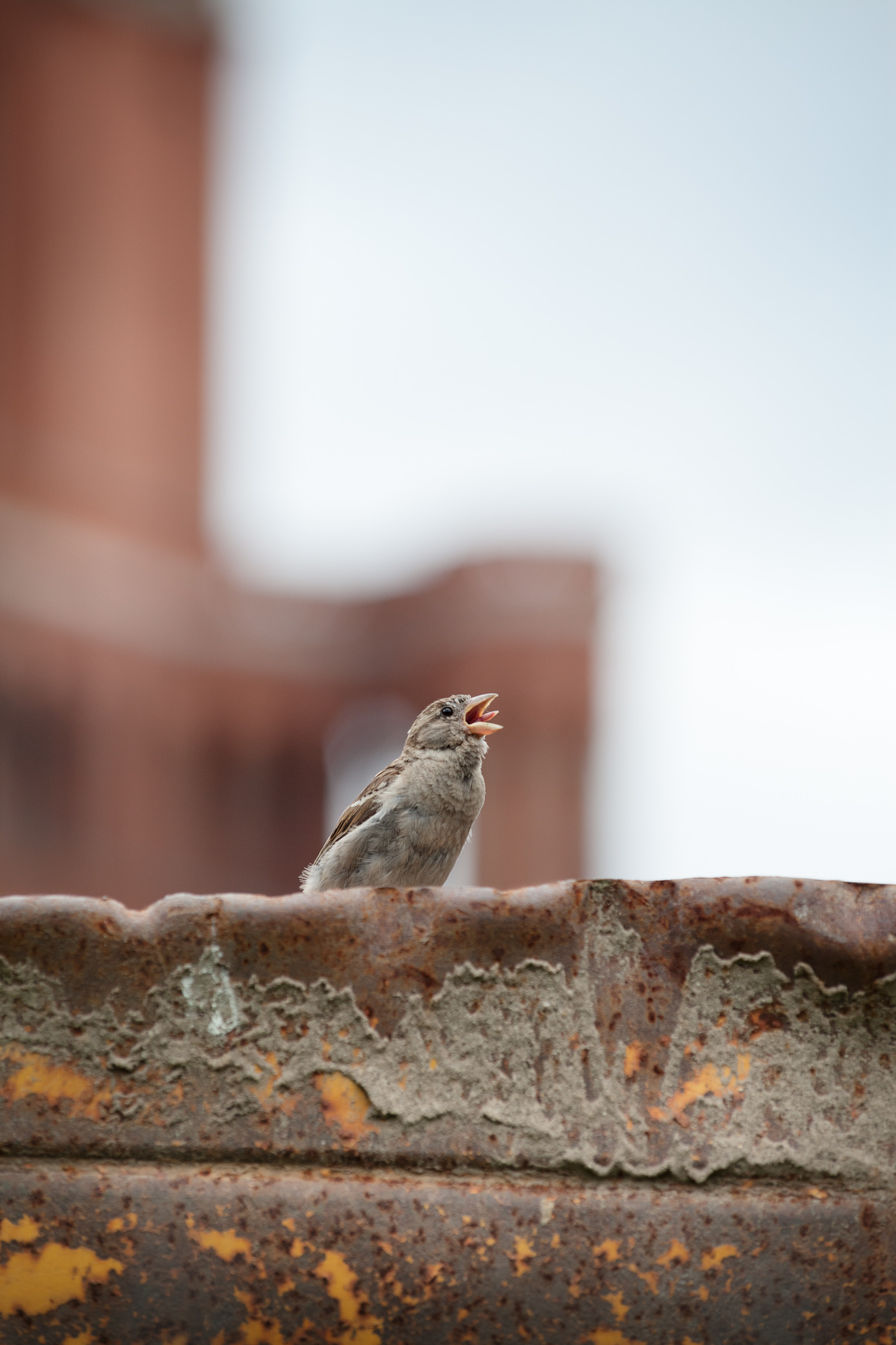 BERLIN, ALEXANDERPLATZ