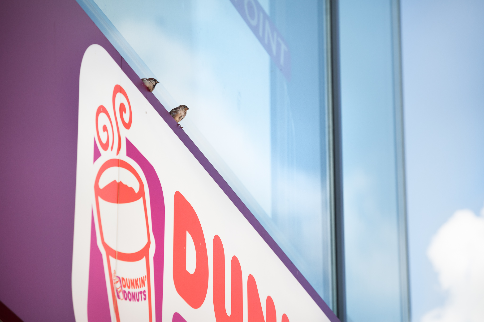 BERLIN, ALEXANDERPLATZ