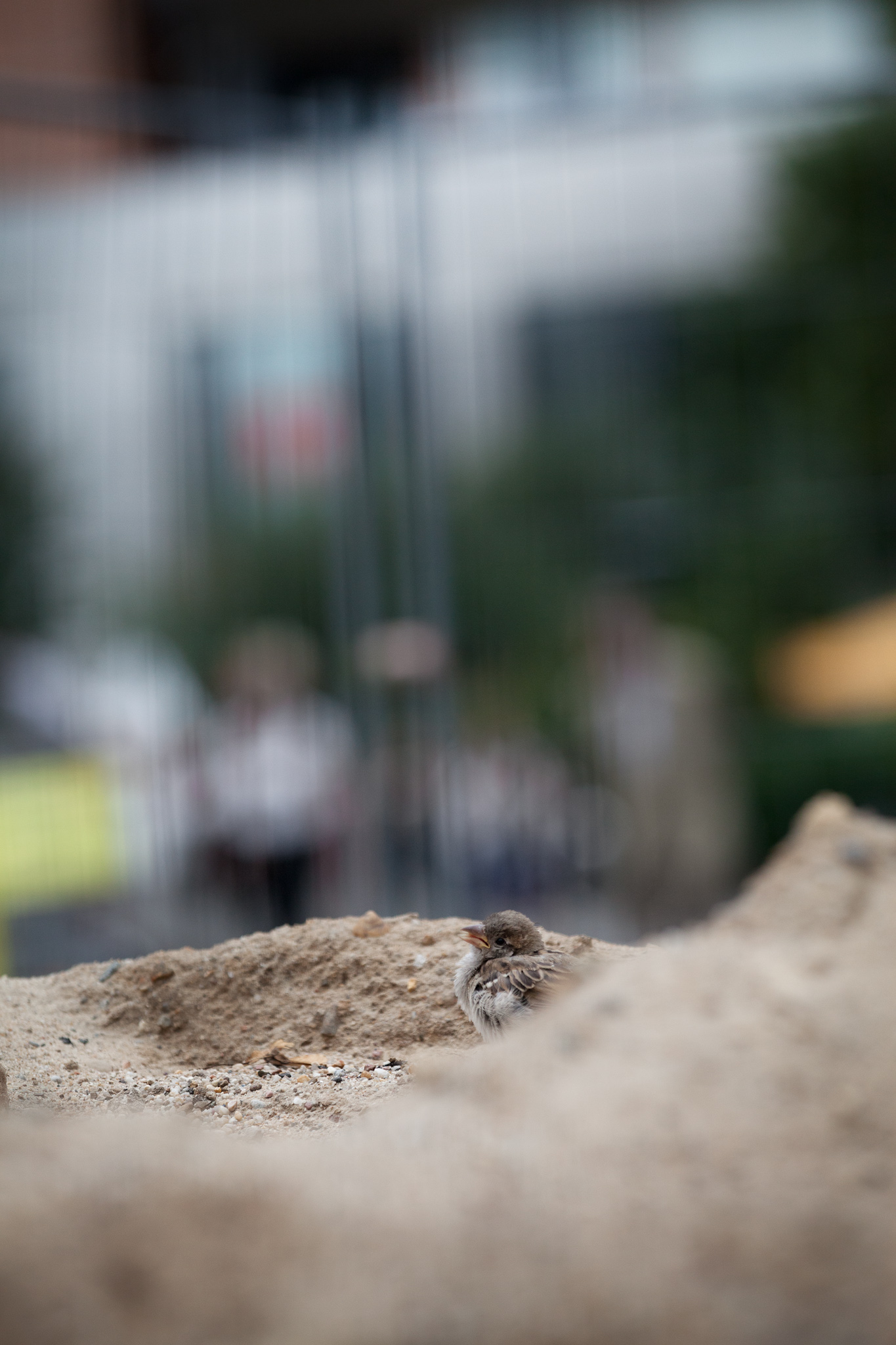 BERLIN, ALEXANDERPLATZ